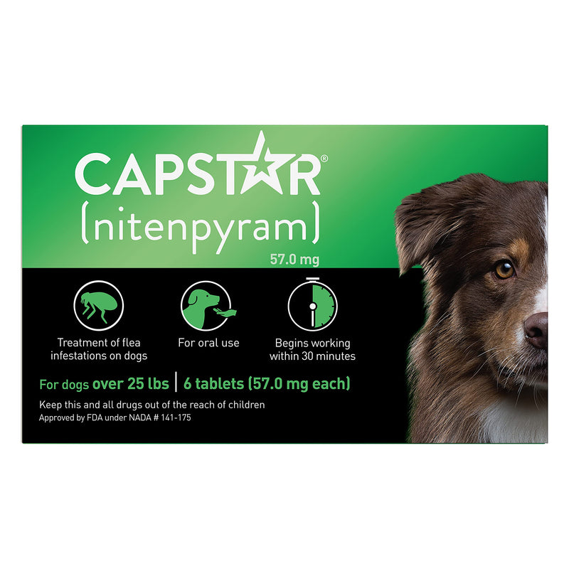 Capstar Fast-Acting Oral Flea Treatment for Dogs Large Dogs, 26-125 lbs - PawsPlanet Australia