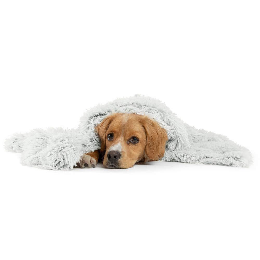 [Australia] - Best Friends by Sheri Luxury Shag Dog & Cat Throw Blanket 30x40, Frost, Matching Donut Shag Cuddler Bed, Multi-Use, Mat, Sofa Cover, Warming 