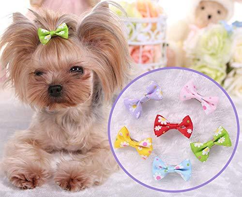 Pihappy Pet Cat Puppy Topknot Dog Hair Bows Hairpin Hair Clips with Rubber Bands Grooming Accessories Assorted Colors Pack of 20PCS Design A 20PCS - PawsPlanet Australia