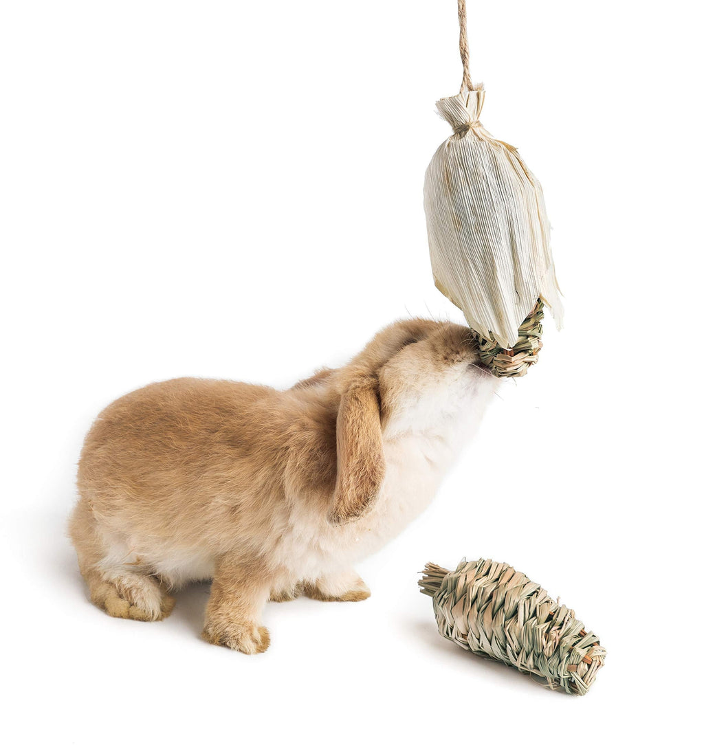 [Australia] - Niteangel Timothy Hay Grass Treat Pet Chew Toys for Chinchilla Guinea Pig Rats Rabbits Hamster Gerbil Degu Bunny 