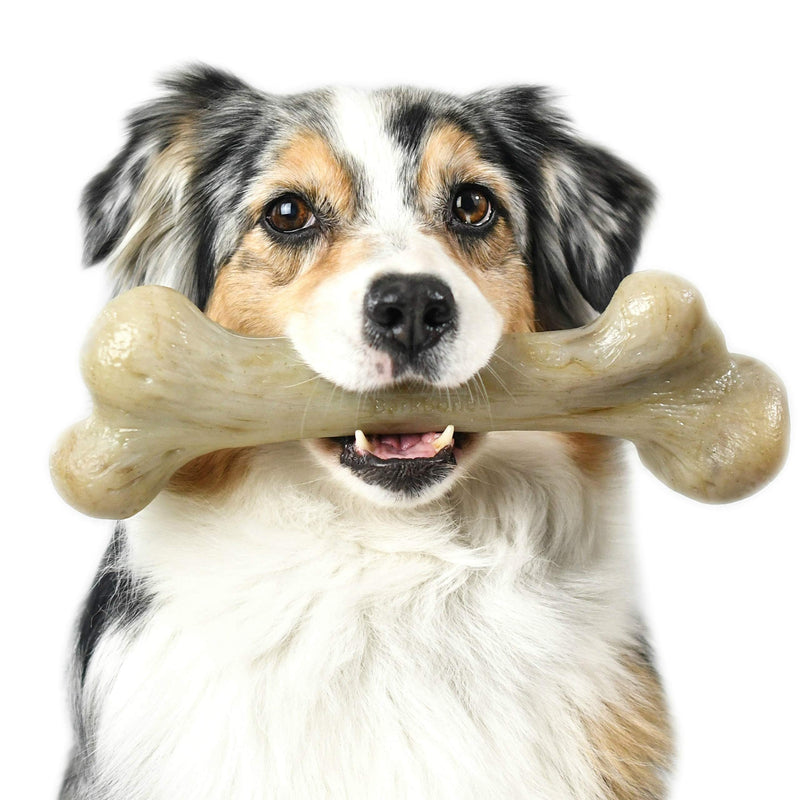 [Australia] - Pet Qwerks Real Bacon Infused Dinosaur BarkBone - Durable Dog Toy for Aggressive Chewers, Tough Power Chewer Bones | Made in USA Premium Nylon - Large for XSmall Dogs & Puppies, Brown (DBB4) 