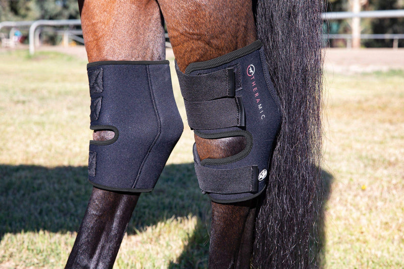 [Australia] - Professional's Choice Theramic Hock Boot Horse 