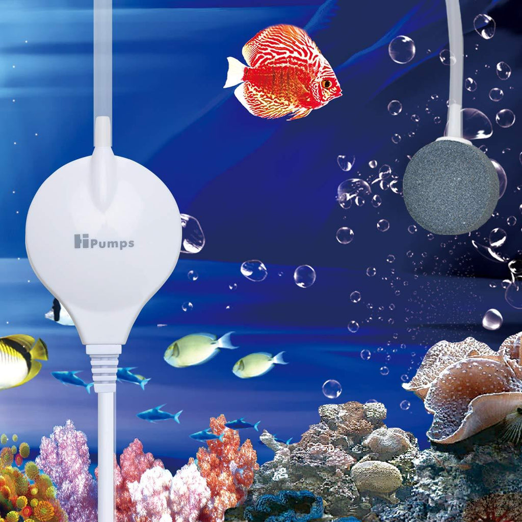 [Australia] - Songway Aquarium Air Pump Mini Aquarium Fish Tank Bubbler Pump/1.0W Ultra Silent Oxygen Breathe Pump/for Aquarium Fish Tank/with Filter Air Stone and Silicone Air Tube 