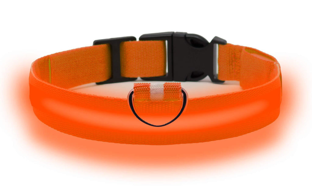 [Australia] - Clio Illuminated LED Rechargeable Dog Collar Medium Orange 