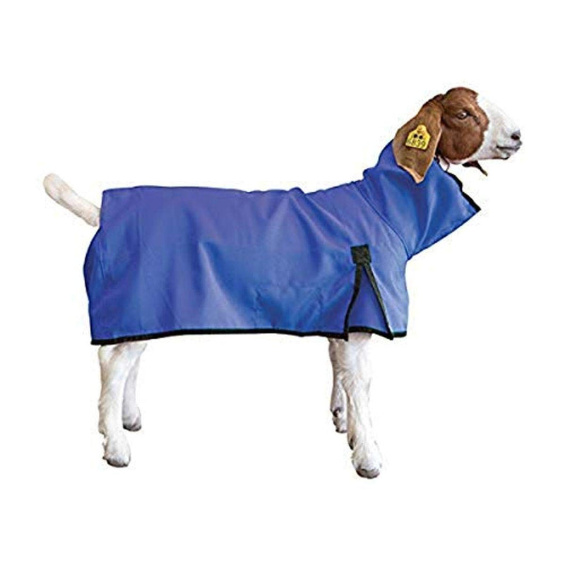 Weaver Livestock Goat Blanket Small Blue - PawsPlanet Australia