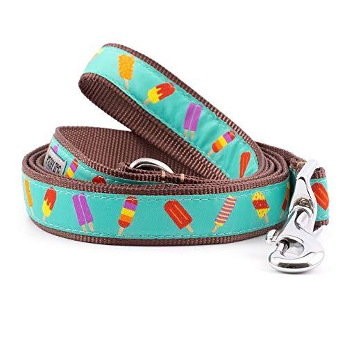 [Australia] - The Worthy Dog Popsicles Pattern Lead, Designer Comfortable Nylon Webbing Leash Fits Small, Medium and Large Dogs - Aqua Color 1 