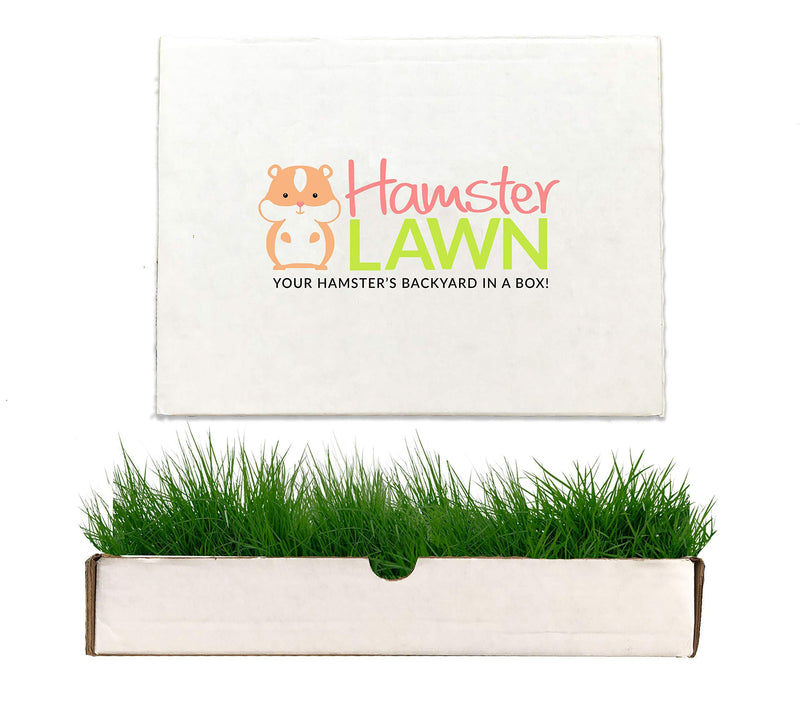 [Australia] - Fresh Grass Mat for Your Hamster, 12 x 9 