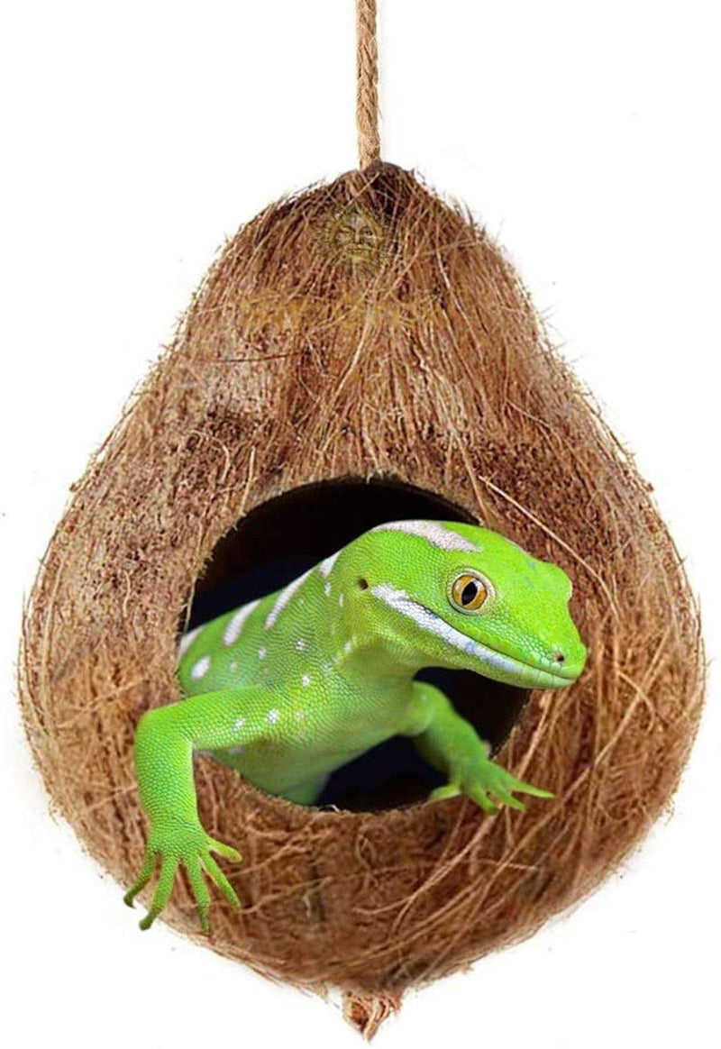Crested Gecko Coco Hut, Treat & Food Dispenser, Climbing Porch, Hiding, 4.5” Round Coconut Shell with 2.5” Opening, Ideal for Reptiles, Amphibians - PawsPlanet Australia