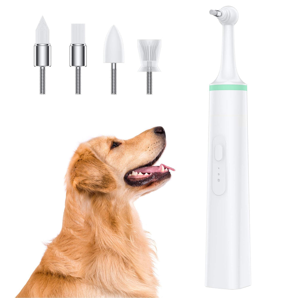 mothermed Dog Tartar Cleaner Electric Professional Teeth Polisher Pet Calculus Plaque Stains Teeth Cleaner with 4 Brush Head Puppy Dental Scaler Care Cleaning Tools Kit for Dogs Cats - PawsPlanet Australia