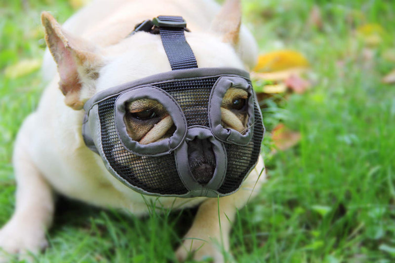 Short Snout Dog Muzzles - Adjustable Breathable Mesh Dog Muzzle with Eyehole for Bulldog Boston Terrier And Short-snouted Breeds to Anti-Biting Barking and Licking Chewing Barking Training Dog Mask S(9"-12") Grey - PawsPlanet Australia