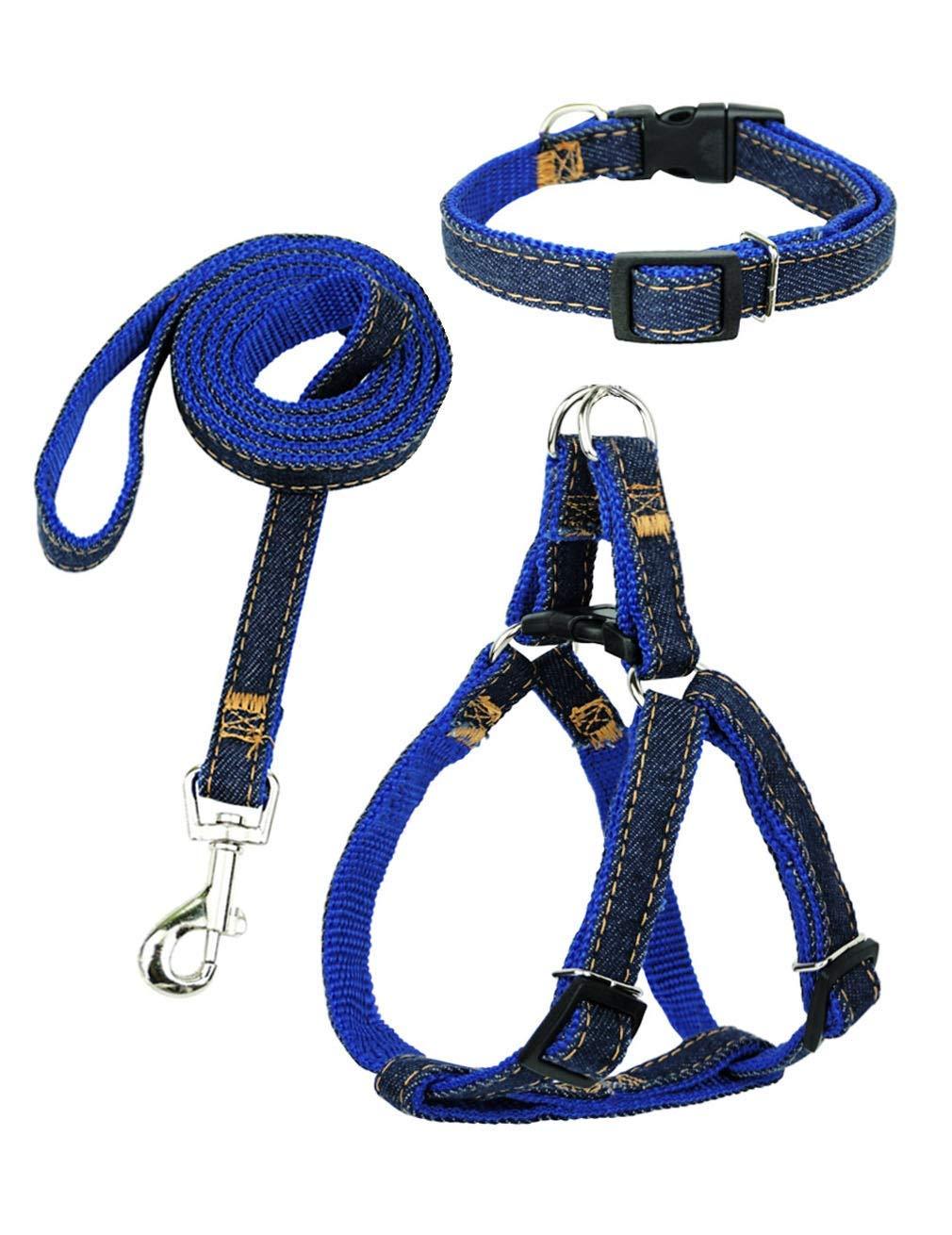 [Australia] - Dormencir Durable Basic Leashes Harness Set Pet Dog Slip Rope Leash Adjustable Strong Dogs Leash Collar for Small Medium and Large Dog Perfect for Daily Training Walking Running L(16.5"-28.5" Chest) Blue 