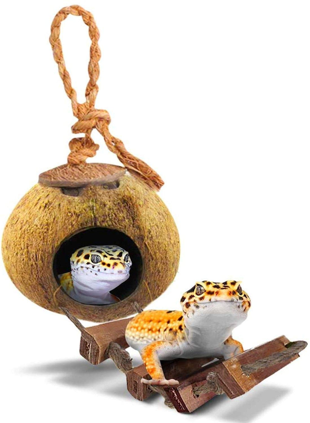 SunGrow Leopard Gecko Coconut Husk Hut with Ladder, 5” Diameter, 2.5” Shell Opening, Cave Habitat with Hanging Loop, 1 Pc per Pack - PawsPlanet Australia