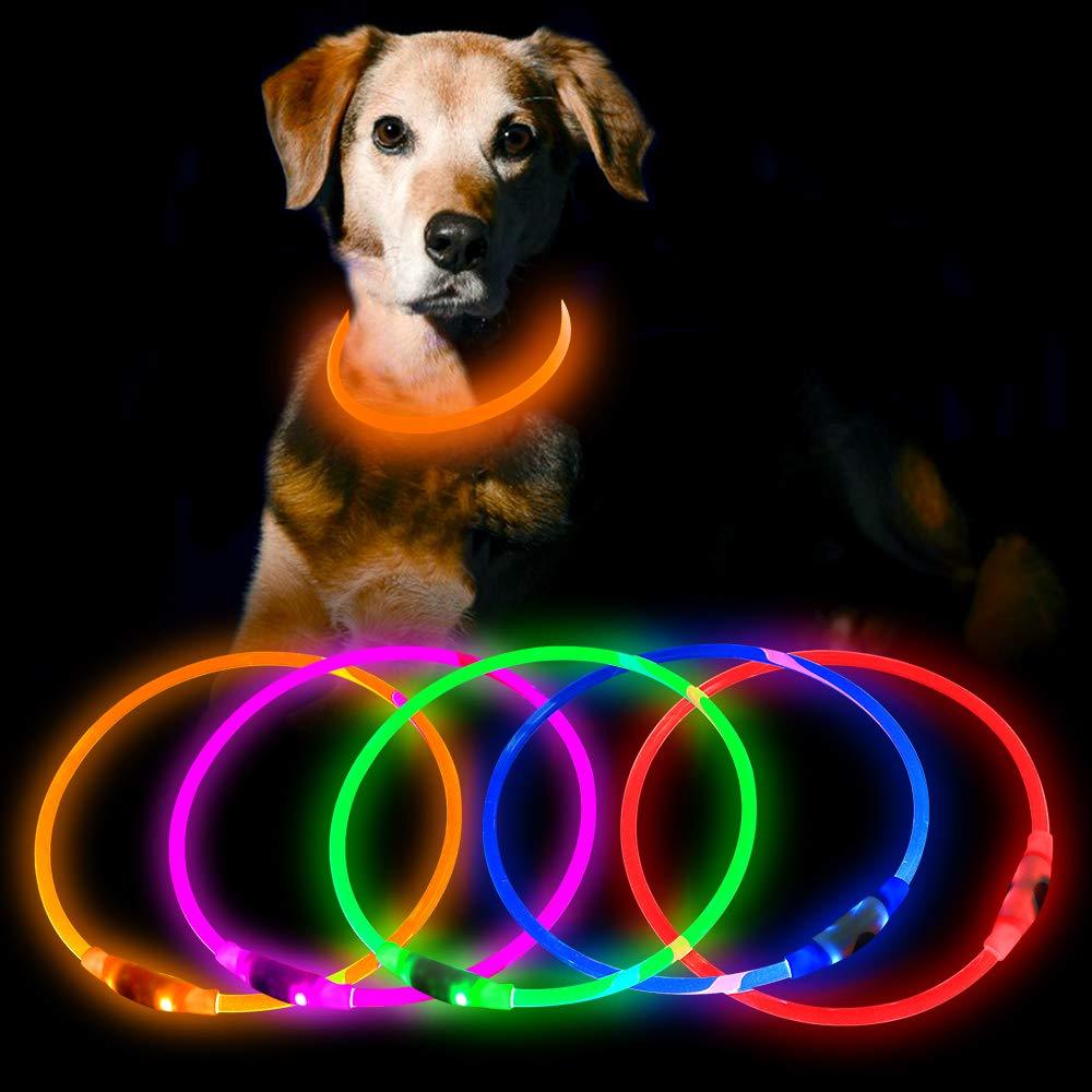 [Australia] - HiGuard LED Dog Collar USB Rechargeable Glowing Pet Collars Lighted Up Safety Necklace Glow in The Dark for You & Your Dogs Orange 