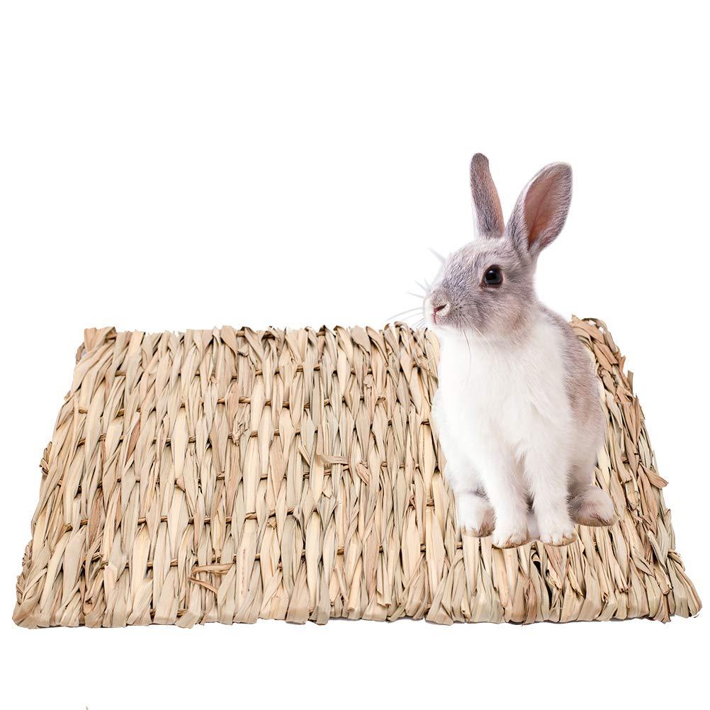 PAWCHIE 2 Pack Grass Mat for Rabbits Natural Hay Woven Bed Mat for Small Animal, Hamsters, Guinea Pigs, Chew Toys Bed - PawsPlanet Australia