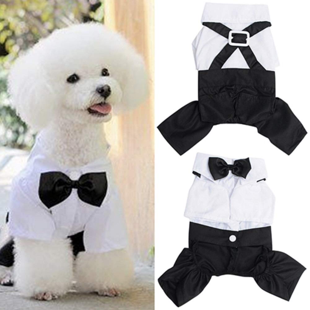 [Australia] - CheeseandU Small Dog Clothes Pet Stylish Wedding Shirt Formal Tuxedo with Black Tie Suit Dog Gentleman Suspender Bow Tie Apparel for Wedding Party Fancy Event Halloween,White&Black Back: 28cm/11Inch 