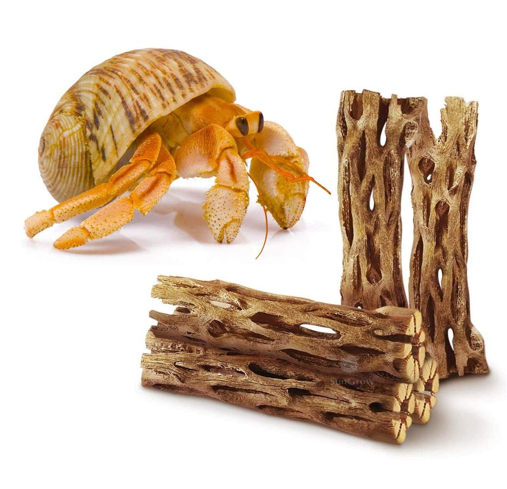 [Australia] - SunGrow Hermit Crab Cholla Woods, Climbing Logs, Chew Toy and Source of Nutrition, Fun and Stimulating Activity for Little Climbers, Long Dried Terrarium Décor Adds Raw Beauty 5-Pack 6 Inches 