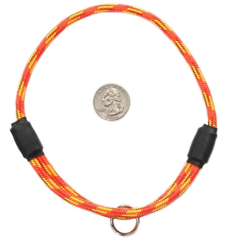 [Australia] - National Leash Thin Mountain Rope Dog ID Collar- Firecracker - Medium Size- The Original Snickers Collar 