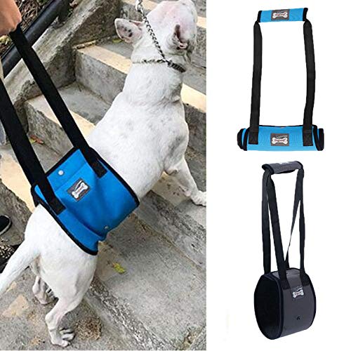 [Australia] - PENIVO 4 Sizes Dog Lift Support Harness Walking Vest Canine Aid Assist Sling Climb Stairs Rehabilitation for Canine Assist Elderly Sick Injured Support Sling Helps Dogs Legs XL Grey 