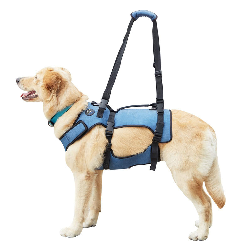 Coodeo Dog Lift Harness, Full Body Support & Recovery Sling, Pet Rehabilitation Lifts Vest Adjustable Breathable Straps for Old, Disabled, Joint Injuries, Arthritis, Paralysis Dogs Walk Medium - PawsPlanet Australia