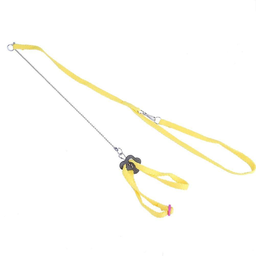 1.2M Bird Harness and Leash, Adjustable Flying Anti-bite Training Rope for Parrots African Grey Cockatoo and Reptile Lizard Outdoor Walk(Yellow) Yellow - PawsPlanet Australia