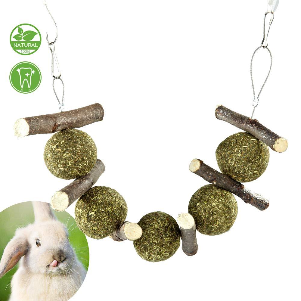 [Australia] - PETLAOO Bunny Chew Toys for Teeth, Improve Dental Health - 100% Natural Organic Apple Sticks - Handmade, Suitable for Rabbits, Chinchillas, Guinea Pigs, Hamsters, Chewing/Playing 
