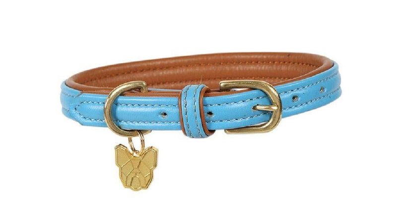 [Australia] - Shires Digby & Fox Padded Leather Dog Collar X-Small Blue 