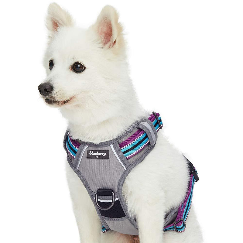 [Australia] - Blueberry Pet 15 Colors Safe & Comfy 3M Reflective Multi-Colored Stripe Collection - Collars, Harnesses, Leashes, Seatbelts for Dogs, Matching Lanyards for Pet Lovers Harness Vest w/ 2 Leash Clips - Medium Violet and Celeste 