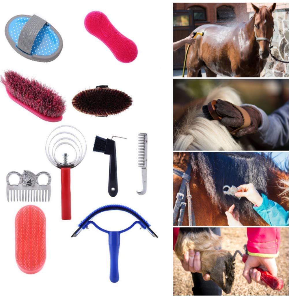Pssopp 10Pcs Horse Brush Set Horse Grooming Care Kit Equestrain Brush Curry Comb Horse Cleaning Tool Set - PawsPlanet Australia