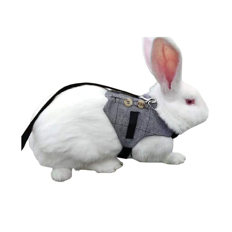 Wontee Rabbit Vest Harness and Leash Set Adjustable Formal Suit Style for Bunny Kitten Small Animal Walking - PawsPlanet Australia