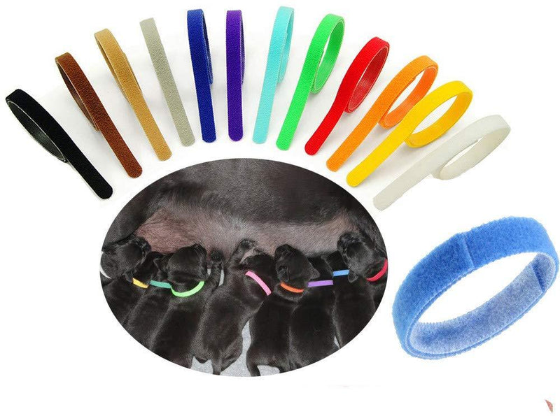 [Australia] - Floranea 12 Pcs Puppy Whelping Collars Multicolor Adjustable Double Sided Reusable Comfortable Soft Fabric ID Bands for Small Dogs Pet Cat Newborn Kittens Litter 