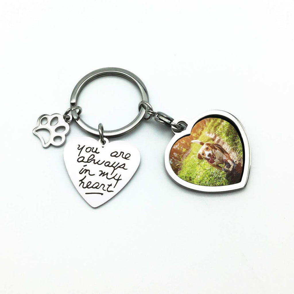 Pet Dog Remembrance Memorial Photo Frame Keychain Gifts, Pet Sympathy Present,You are Always in My Heart - PawsPlanet Australia