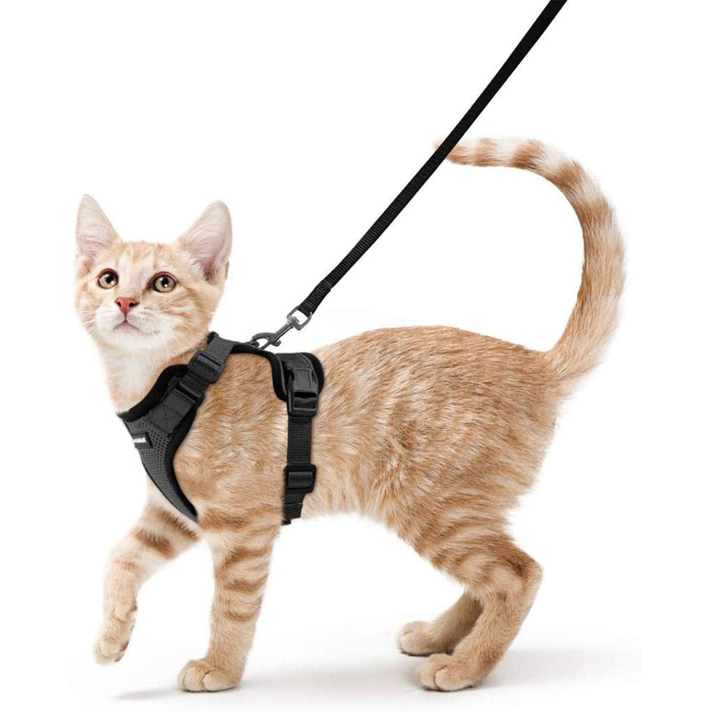 rabbitgoo Cat Harness and Leash for Walking, Escape Proof Soft Adjustable Vest Harnesses for Cats, Easy Control Breathable Reflective Strips Jacket XS Black - PawsPlanet Australia