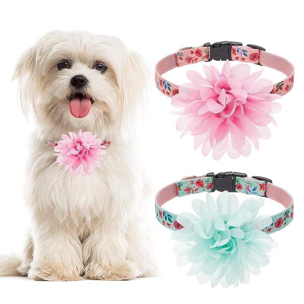 [Australia] - PUPTECK Dog Collars for Samll Dogs - 2 Pack Cute Soft Adjustable Puppy Collar with Removable Flower Pet Accessories for Dogs Cats Small Medium Pets in Spring Pink & Green 