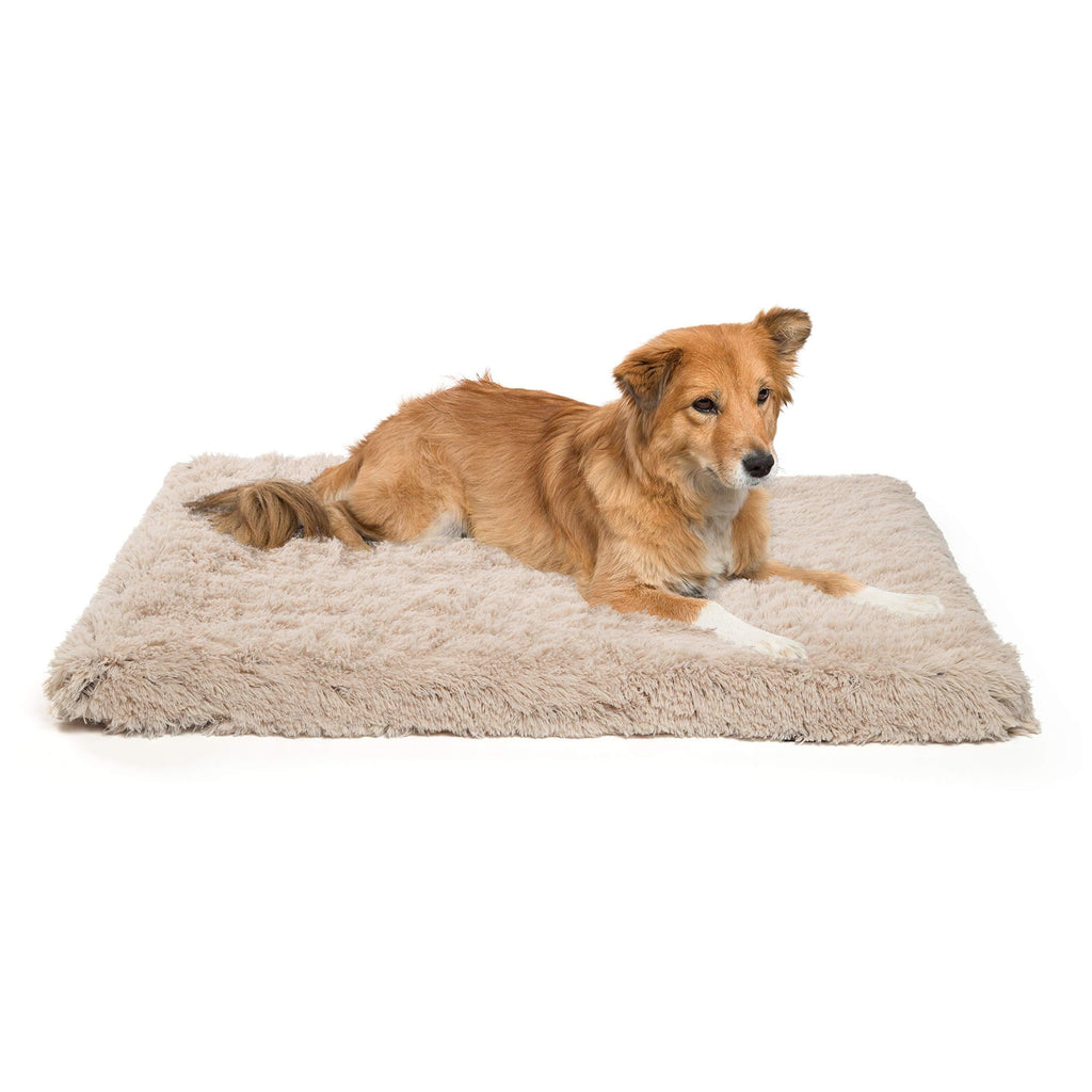 [Australia] - Best Friends by Sheri Orthopedic Dog Bed - Vegan Faux Fur Cushion Supports Joints, Soothes Your Pet, Improves Sleep - Self-Warming w/Zippered Cover, Machine Washable - 27x36 in Taupe 