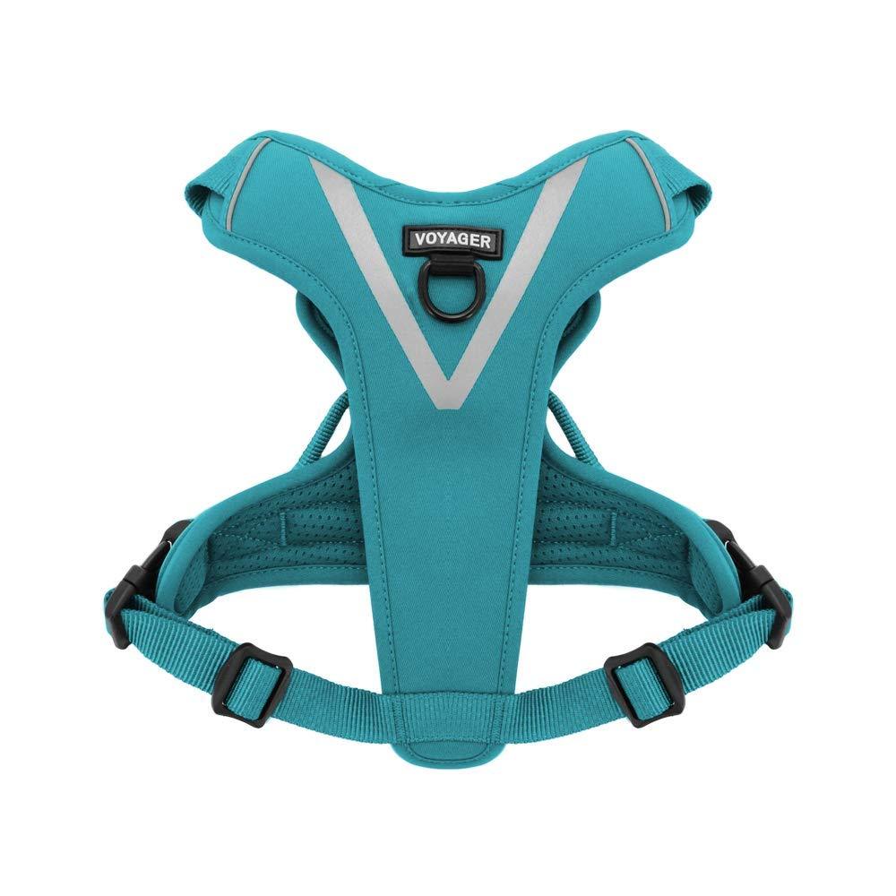 [Australia] - Maverick Dual Attachment Outdoor Dog Harness by Voyager | NO-pull Pet Walking Vest Harness - Turquoise, Large 