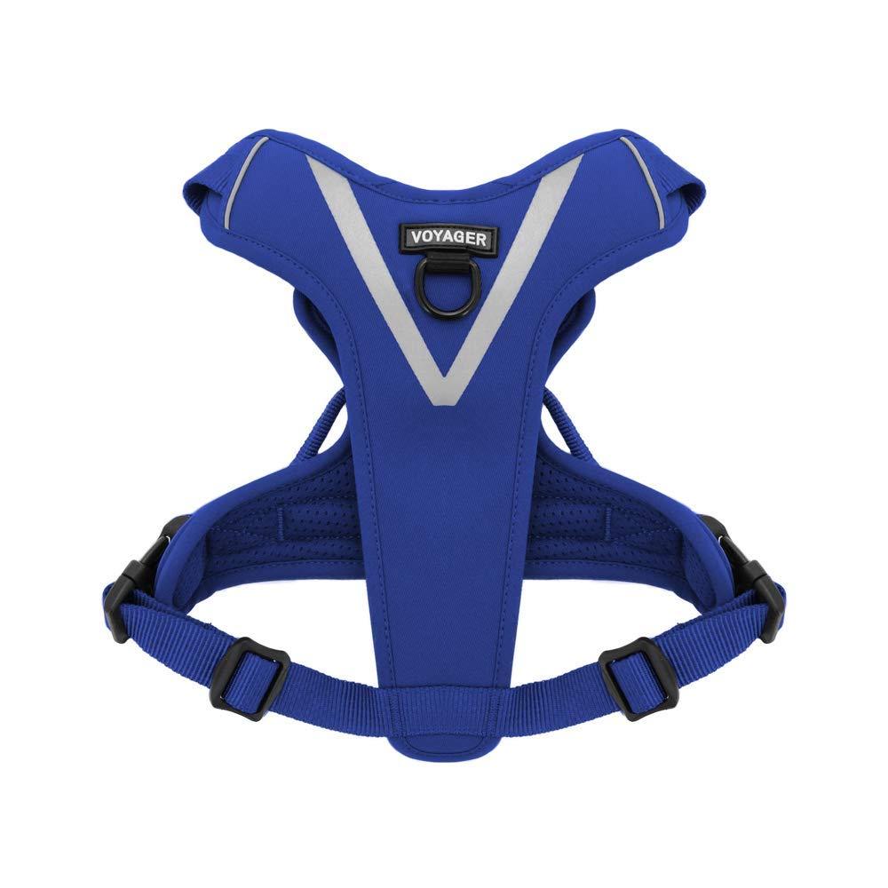 [Australia] - Maverick Dual Attachment Outdoor Dog Harness by Voyager | NO-pull Pet Walking Vest Harness - Royal Blue, Medium 