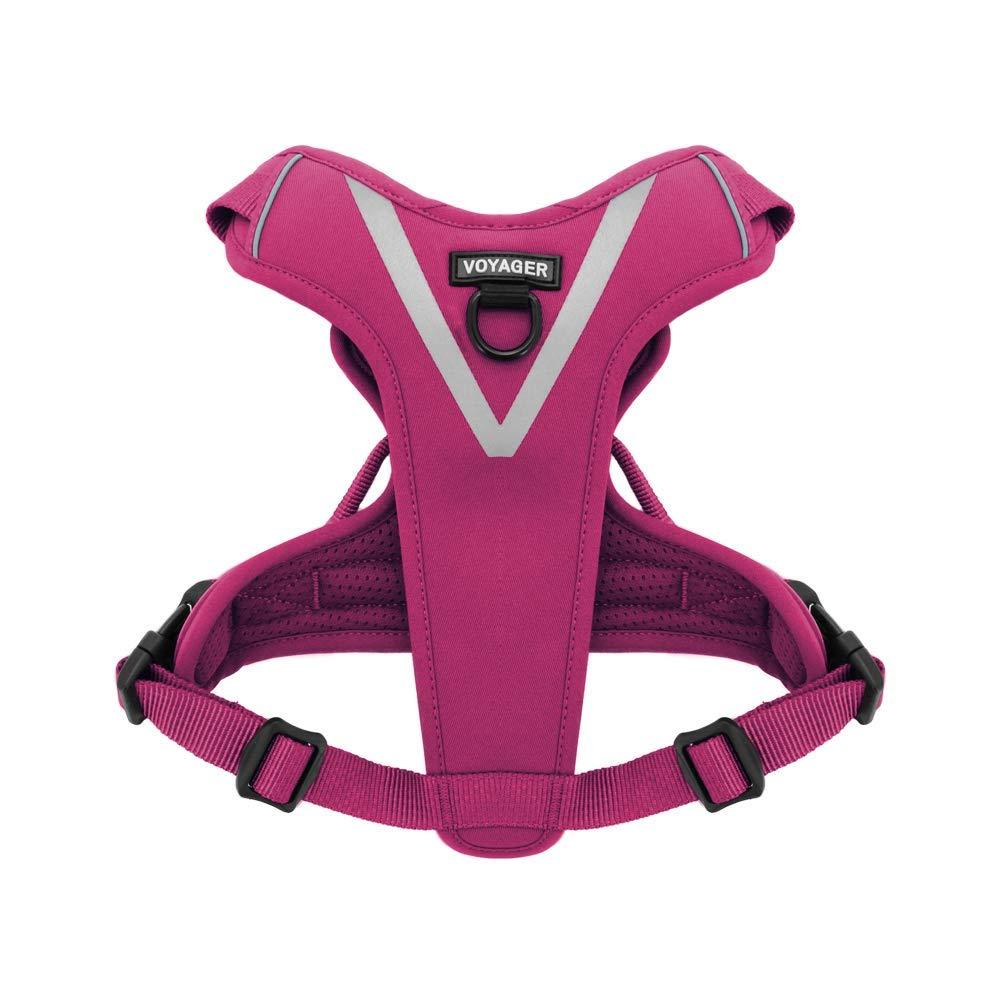 [Australia] - Maverick Dual Attachment Outdoor Dog Harness by Voyager | NO-pull Pet Walking Vest Harness - Fuchsia, Small 