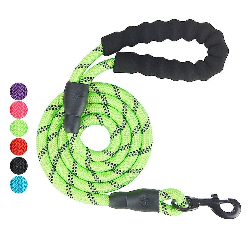 [Australia] - AINAAN 5 FT Strong Dog Leash with Comfortable Padded Handle and Highly Reflective Threads, 2019, Green 