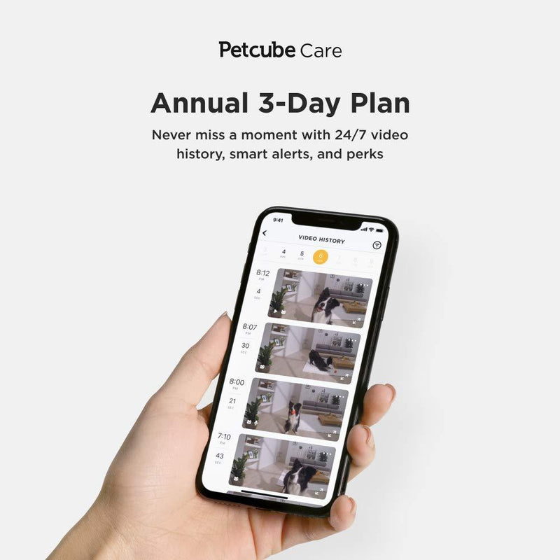 Petcube Smart Pet Camera 1-Year Subscription Plan: Video History, Smart Alerts, Pet Care Perks - PawsPlanet Australia