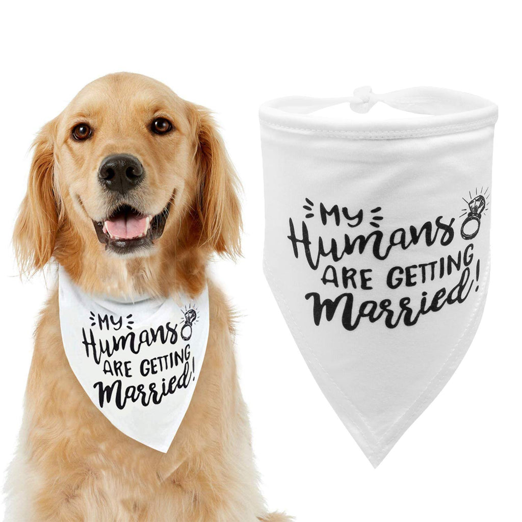 My Humans are Getting Married Dog Bandana, Wedding Dog Bandana, Dog Engagement Announcement, Wedding Photo Prop, Pet Scarf, Pet My Humans Are Getting Married - PawsPlanet Australia