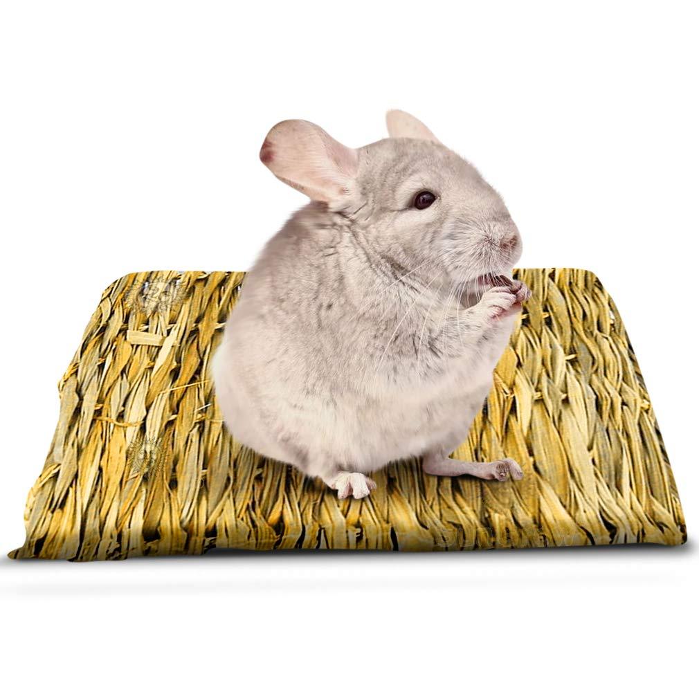 [Australia] - SunGrow Seagrass Mat for Chinchilla, 12x12 inches, Handmade Woven Play Bed, Edible Chew Toy, Treat Rodent’s Sore Hocks, Place in Cage or on Floor 