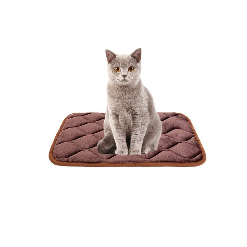 [Australia] - furrybaby Dog Bed Mat Soft Crate Mat with Anti-Slip Bottom Machine Washable Pet Mattress for Dog Sleeping 22-inch Dark Brown Mat 
