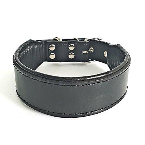 [Australia] - Bestia "Classic Padded Leather Dog Collar. Hand Made in Europe. Up to 2 inch Width, 100% Leather, 7 Sizes 19.7- 22.6 inch neck size - 2 `` width Black & Black 