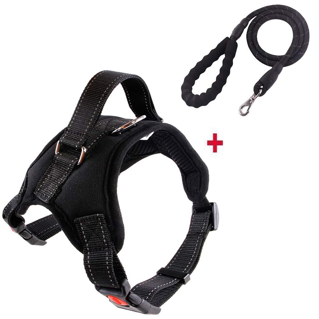 [Australia] - Jxinrong Dog Leash Harness Adjustable & Durable Leash Set & Heavy Duty Denim Dog Leash Collar for Small, Medium and Large Dog, Perfect for Daily Training Walking Running Black 