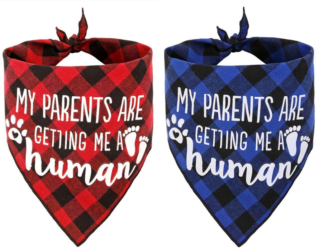 [Australia] - JPB My Parents are Getting me a Human,2 Pack Gender Reveal Dog Bandana 