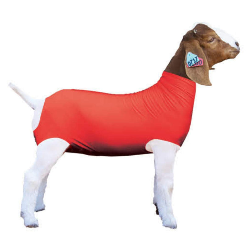 Show Pro Red Spandex Goat Tube for Show Goats - Show Livestock Supplies: Goat Covers & Blankets Medium - PawsPlanet Australia