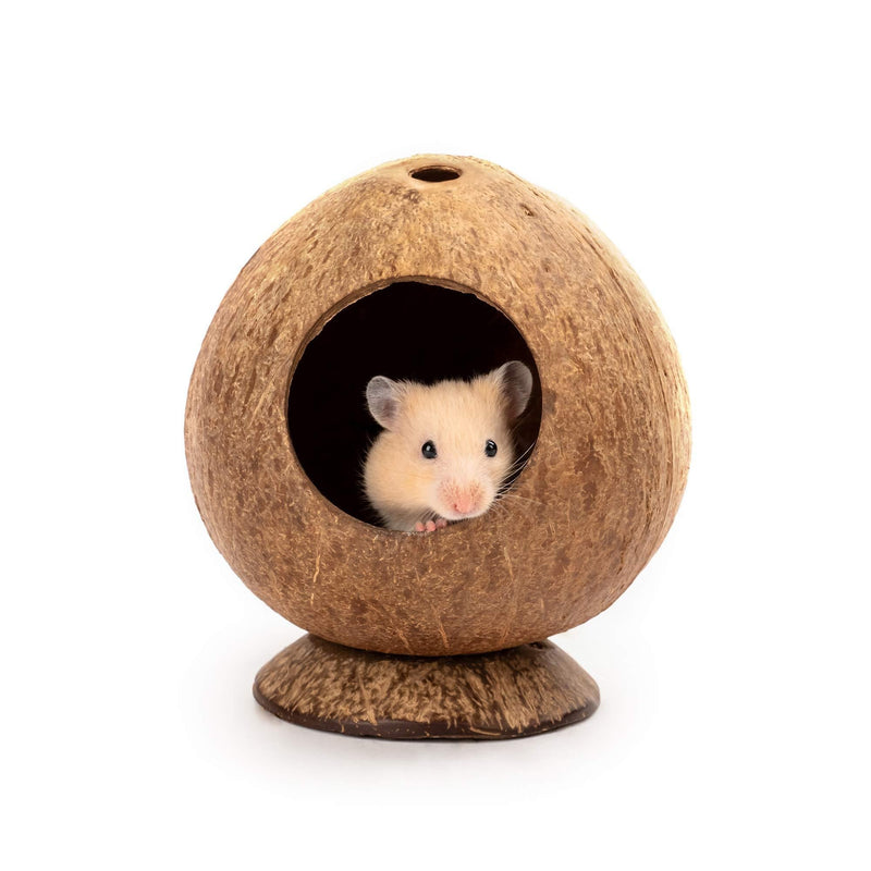 [Australia] - andwe Coconut Hut Hamster House Bed: for Gerbils Mice Small Animal Cage Habitat Decor 