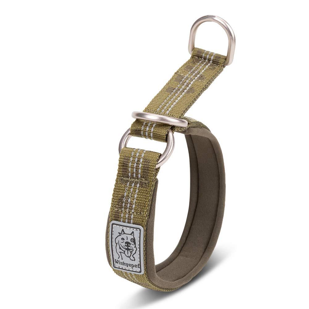 [Australia] - Chai's Choice Best Neoprene Padded Half Choke Training Collar for Large, Medium, Small Dogs. Please Use Sizing Chart at Left. XL Army Green 