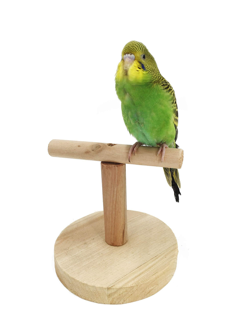 [Australia] - MINORPET Birds Stand, Wood Bird Perch Training Playstand Playground Play Gym for Parrots/Lovebirds/Cockatiels/Parakeets and More Circular Base 