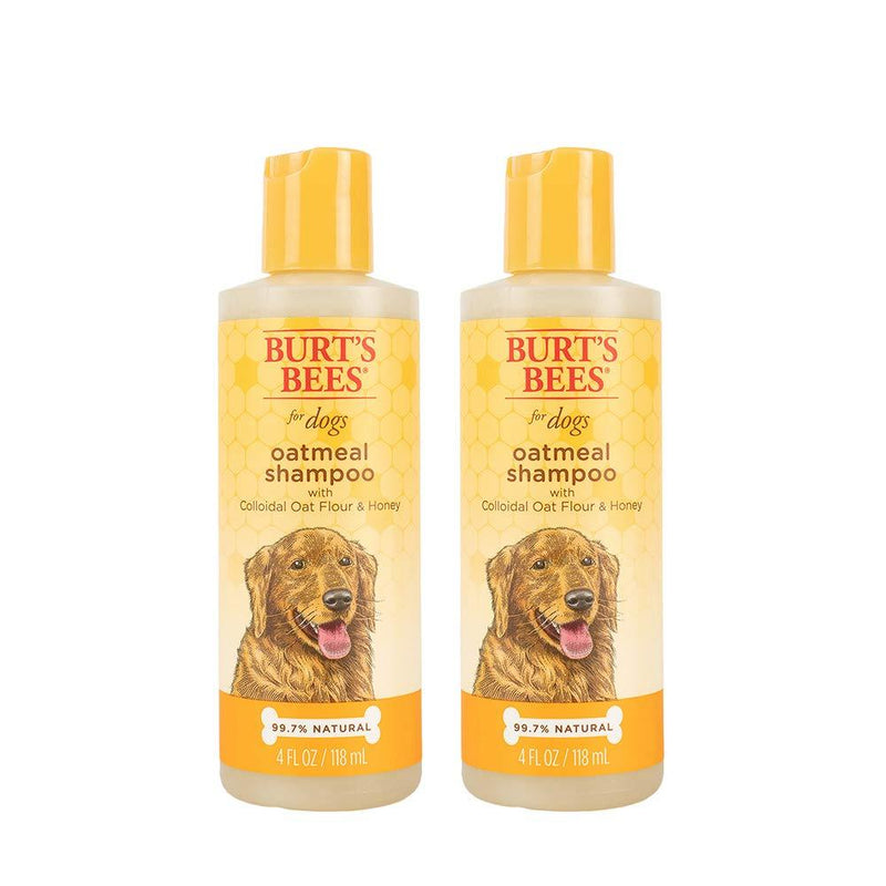 Burt's Bees for Pets for Dogs Natural Oatmeal Shampoo with Colloidal Oat Flour and Honey| Oatmeal Dog Shampoo, 4 Ounces - 2 Pack - PawsPlanet Australia